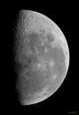 moon091108-600.JPG